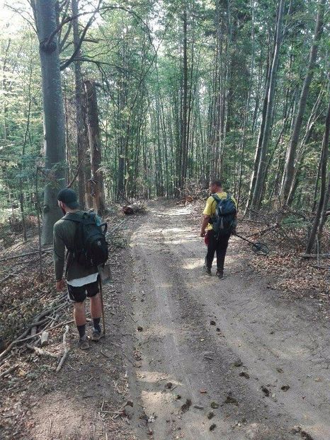 received_312162545856058 - Prin pădure