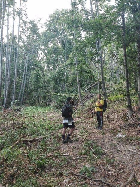 received_312162295856083 - Prin pădure