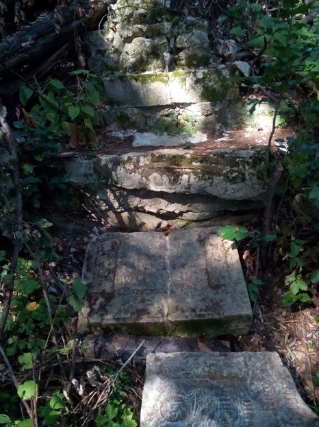  - diverse fotografii