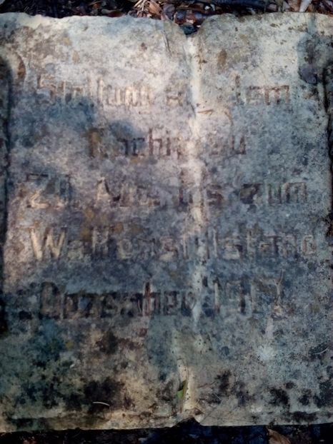  - diverse fotografii