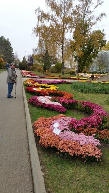  - Gradina Botanica - Toamna