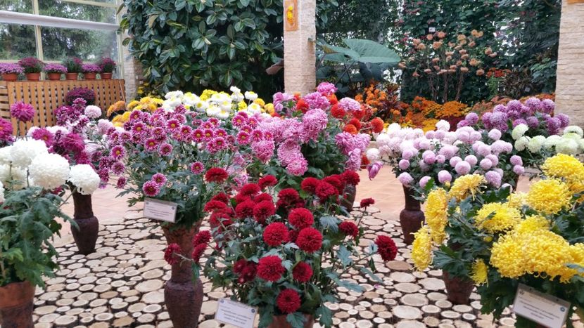  - Gradina Botanica - Toamna
