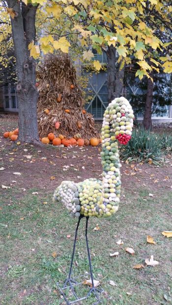  - Gradina Botanica - Toamna