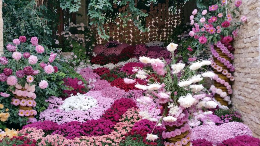  - Gradina Botanica - Toamna