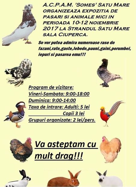  - T--TARGURI SI EXPOZITII