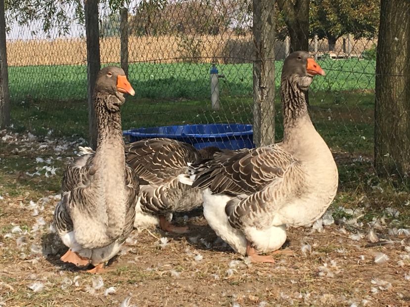 5759FD8F-59AD-452C-96B5-08EB021AA2F1 - vansare