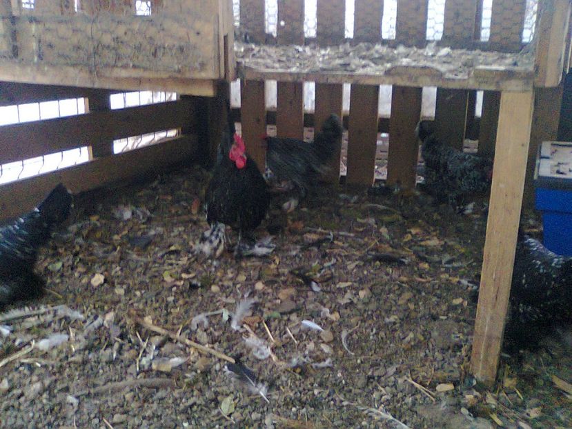 Fotografie2873 - fam 2017-2018