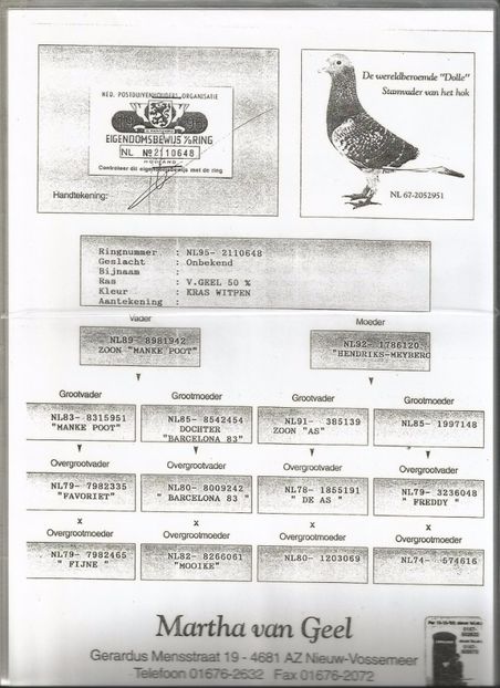 BUNIC MASCUL DUPA TATA - RO- 0598915- M -2014