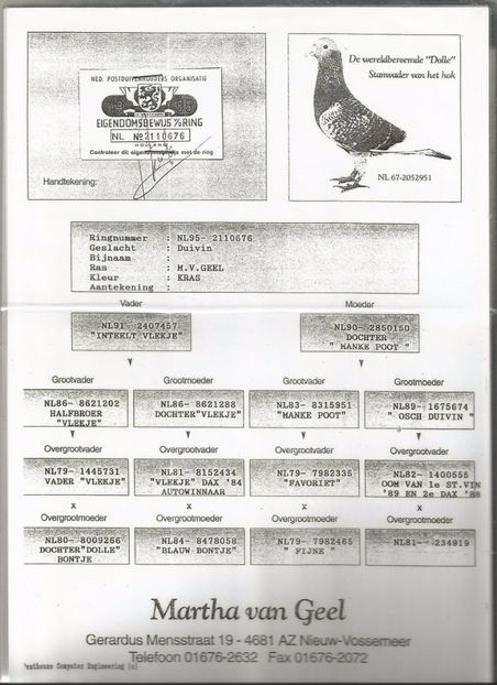 BUNICA MASCUL DUPA TATA - RO- 0598915- M -2014