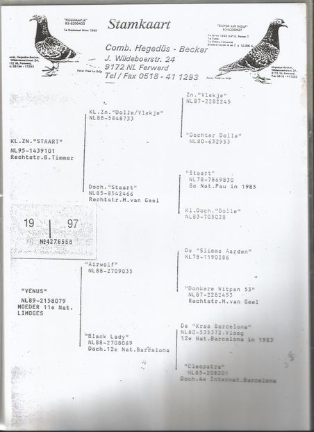 BUNICA MASCUL DUPA MAMA - RO- 0598915- M -2014