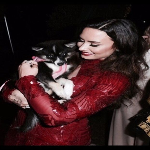  - trying to be a rainbow challenge2