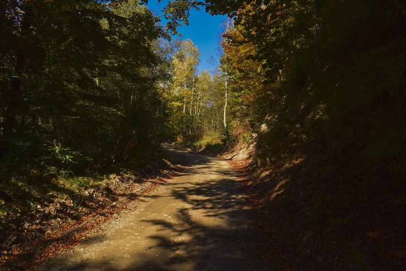  - Photo 11 - Toamna 2017