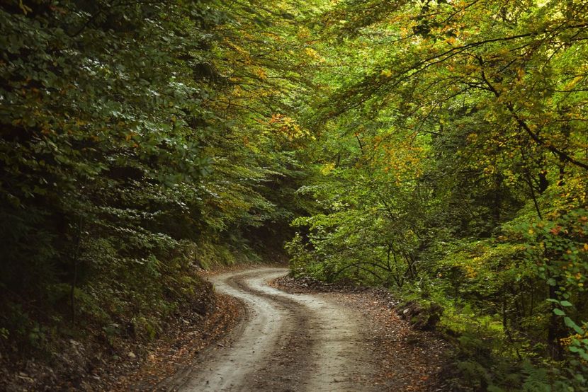  - Photo 11 - Toamna 2017