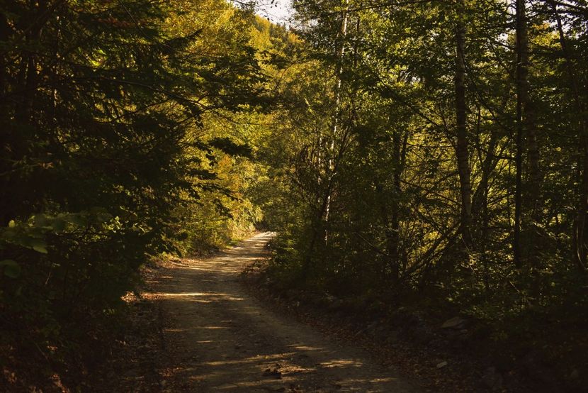  - Photo 11 - Toamna 2017