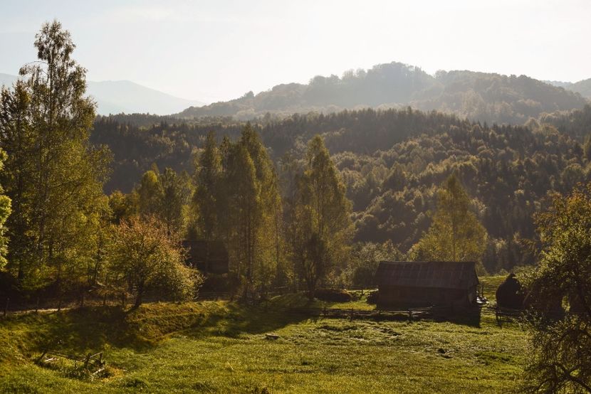  - Photo 11 - Toamna 2017