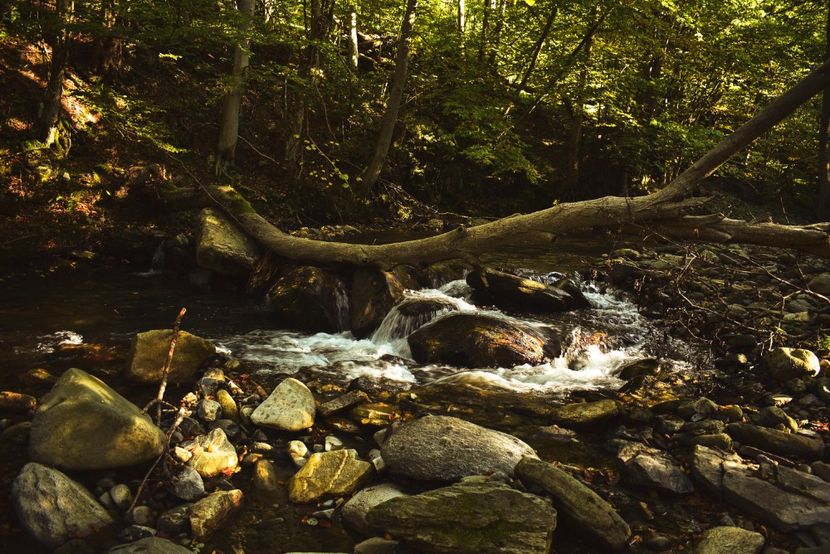  - Photo 11 - Toamna 2017