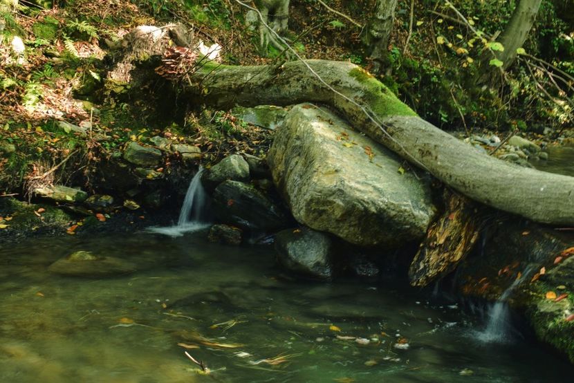  - Photo 11 - Toamna 2017