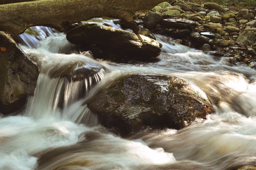  - Photo 11 - Toamna 2017