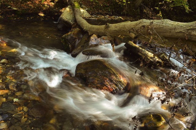  - Photo 11 - Toamna 2017