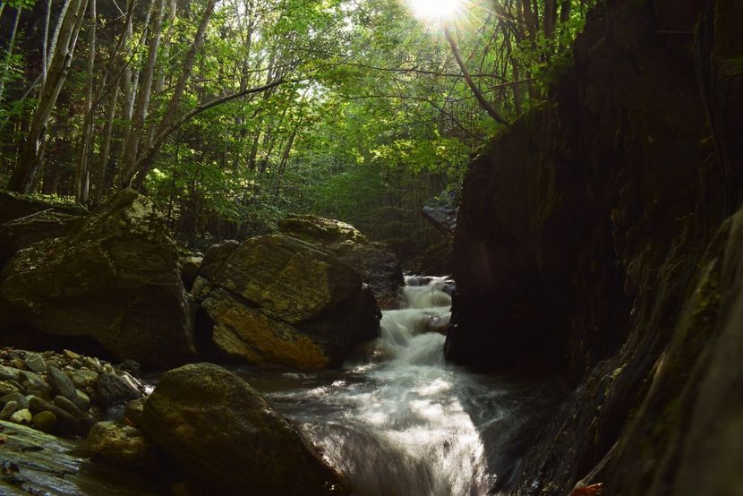  - Photo 11 - Toamna 2017