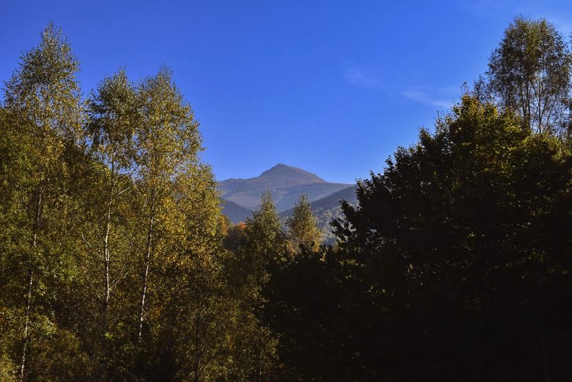  - Photo 11 - Toamna 2017