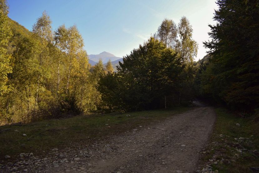  - Photo 11 - Toamna 2017