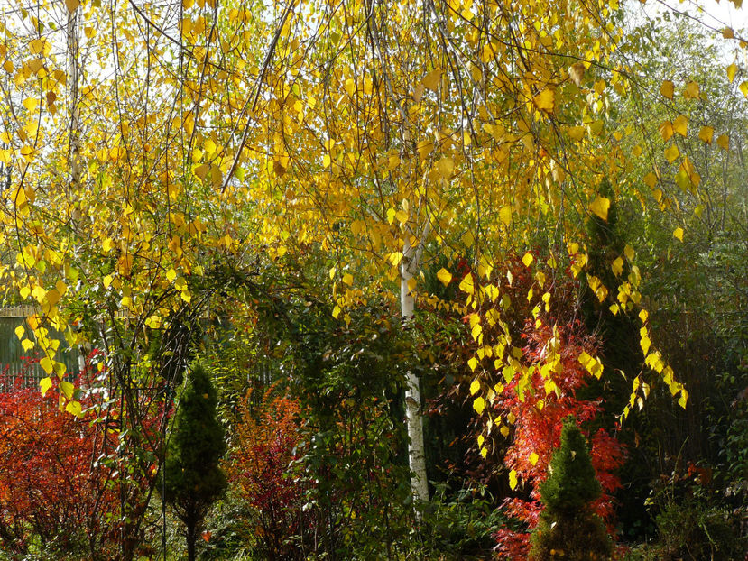 Le voi posta pe toate ! - 2017_Toamna aurie