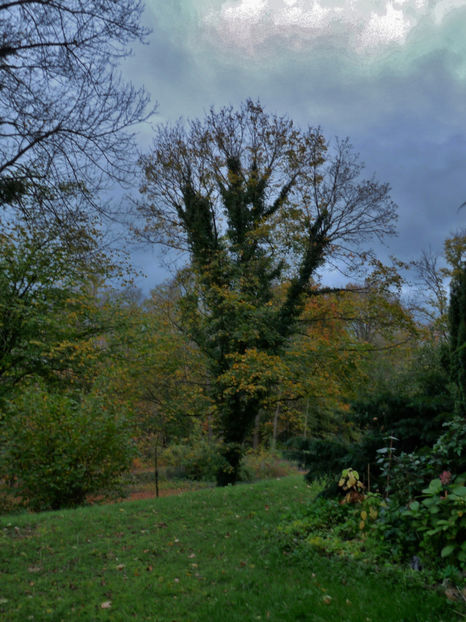 vremuri mohorate... - 2017 - 03 - Toamna