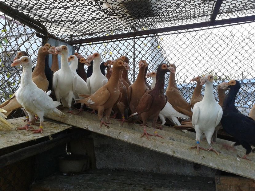 Fotografie0207 - Carieri