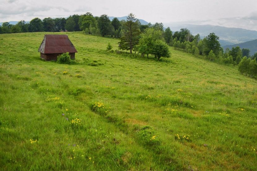 - Photo 10