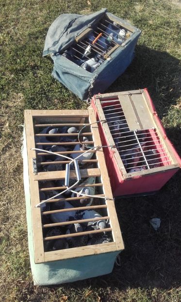  - 7 poze cu columbofili si premieri