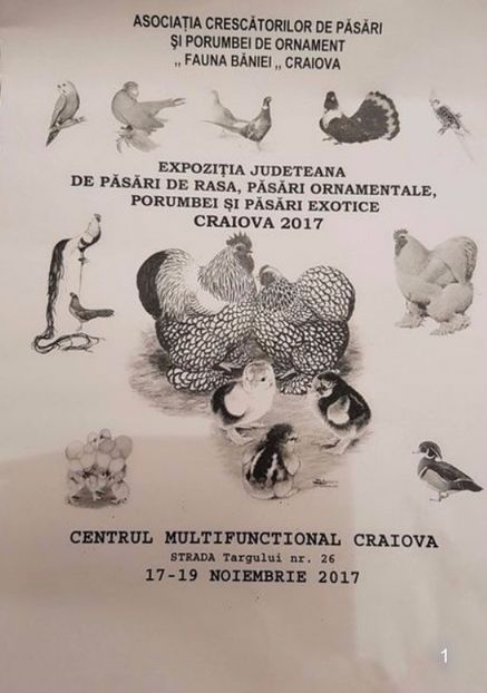  - T--TARGURI SI EXPOZITII