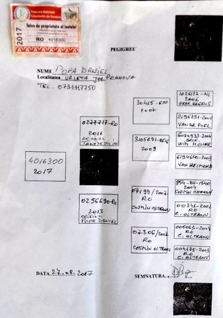 Columb-Orizont-RO-4016300-2017-pedigree - Loc 40 Finala Orizont F