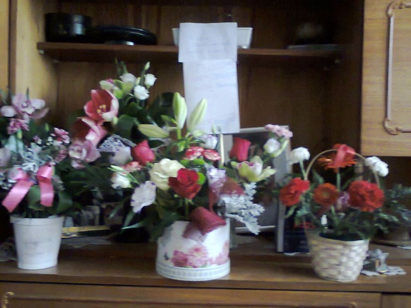 Fotografie3299 - 2017 Aniversare 40 ani de căsătorie 11 nov