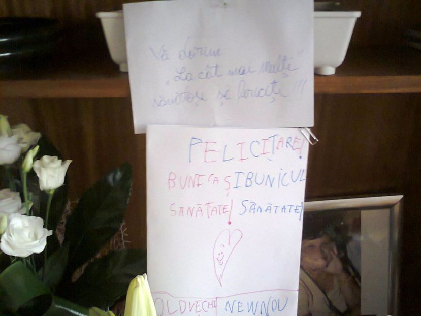 Fotografie3300 - 2017 Aniversare 40 ani de căsătorie 11 nov