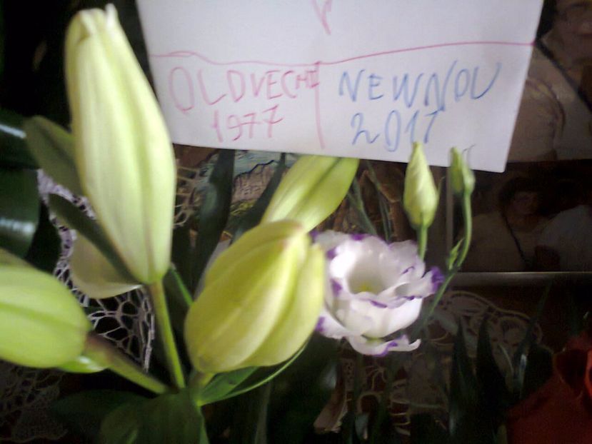 Fotografie3301 - 2017 Aniversare 40 ani de căsătorie 11 nov