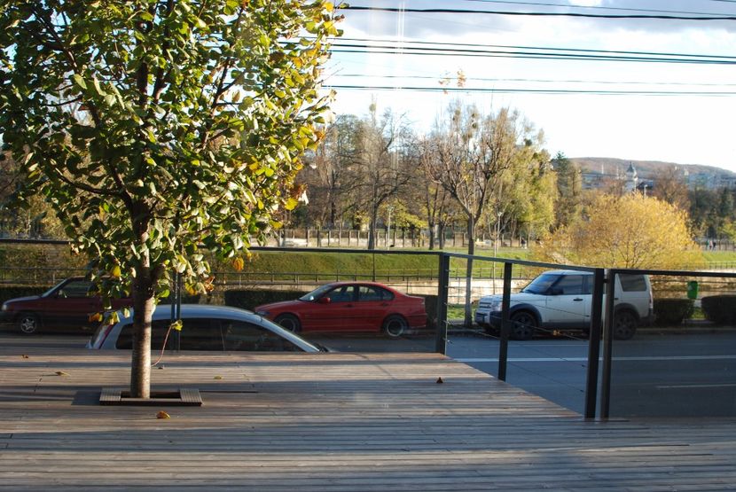  - 2017 Aniversare 40 ani de căsătorie 11 nov