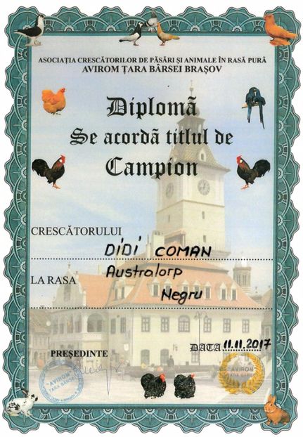 Avirom 2017 - 04 Cupe si diplome obtinute
