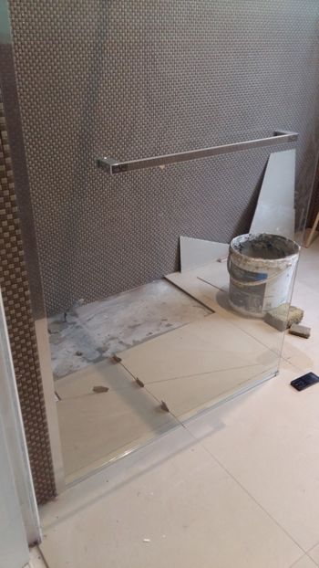  - Lucrari in Lyon 2018