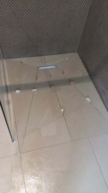  - Lucrari in Lyon 2018