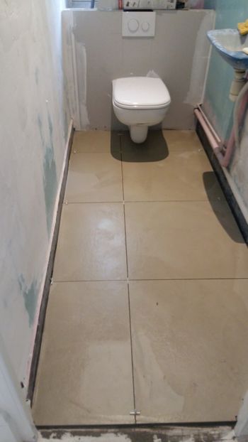  - Lucrari in Lyon 2018