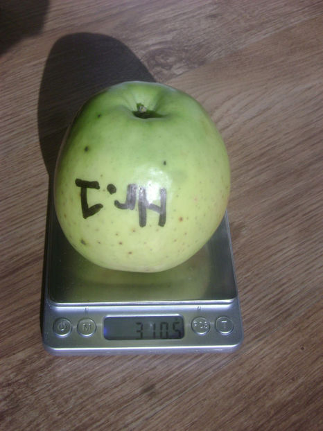 Marul Nr.1 2017 11 - Marul Nr1