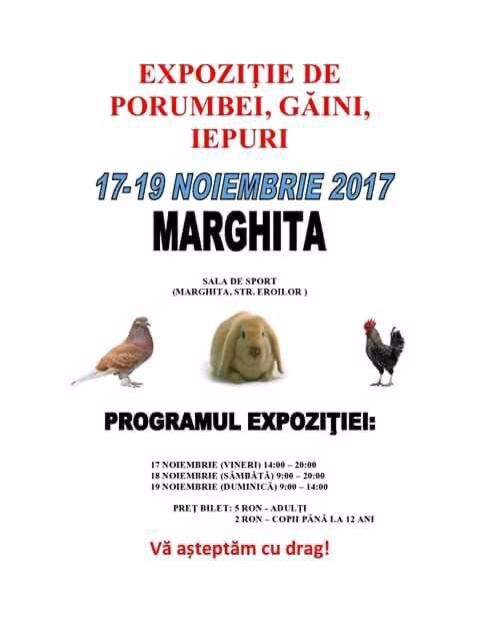  - T--TARGURI SI EXPOZITII