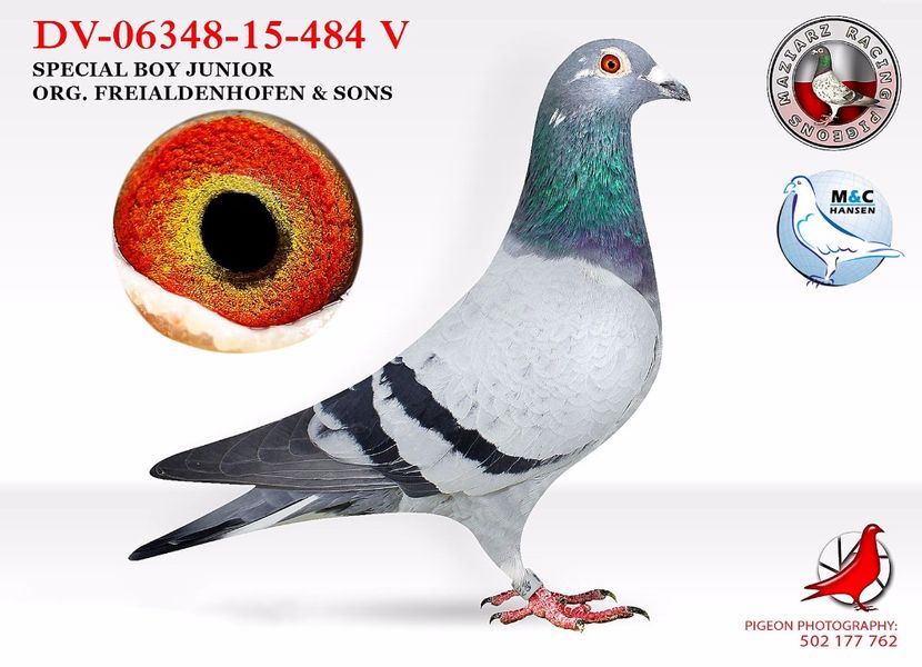 DV-06348-15-0484 freialdenhofen & söhne - Matca 2018