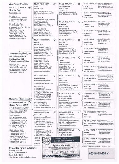 DV-06348-15-0484 - Matca 2018