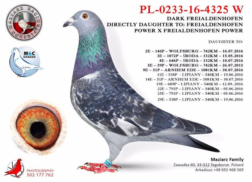 PL-0233-16-4325 freialdenhofen & söhne - Matca 2018