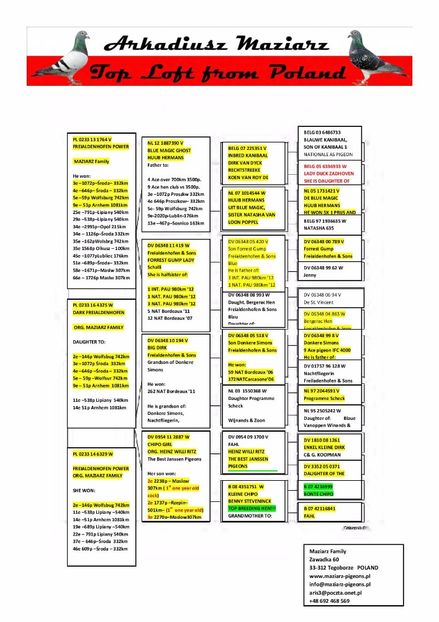 PL-0233-16-4325-page-001 - Matca 2018