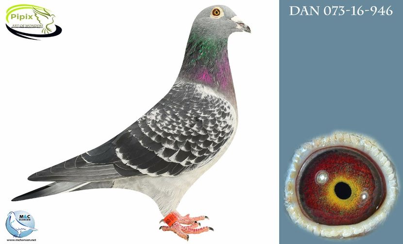 073-16-0946 tatal puilor Jan Aarden - Matca 2018