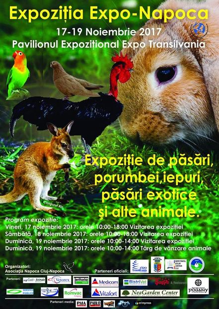  - T--TARGURI SI EXPOZITII