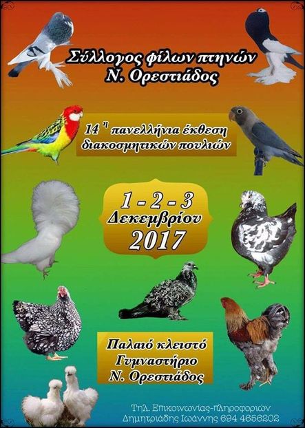  - T--TARGURI SI EXPOZITII